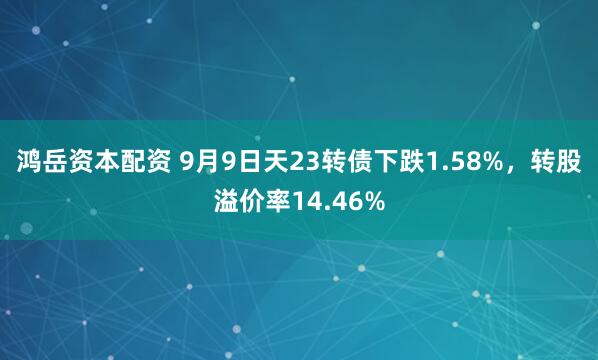 鸿岳资本配资 9月9日天23转债下跌1.58%，转股溢价率14.46%